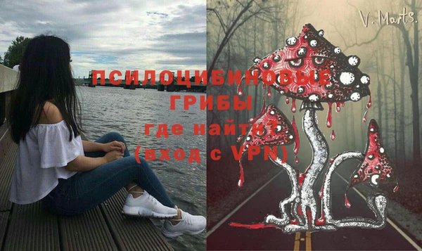 MESCALINE Алзамай