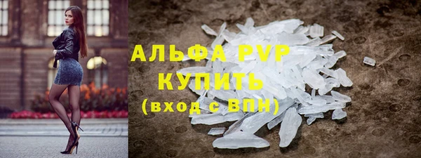 стаф Абинск