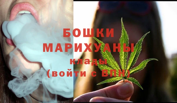 PSILOCYBIN Абдулино