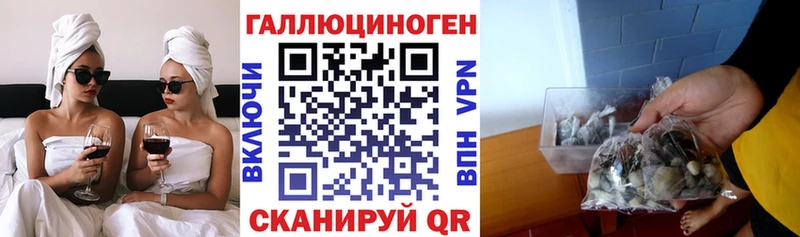 дарнет шоп  Сухиничи  Псилоцибиновые грибы мицелий 